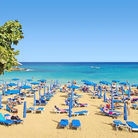 Queen Alexandra Πρωταράς